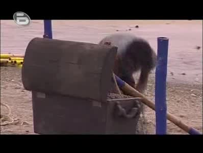 Survivor 3 Епизод 28 (част 2) - 12.11.2008