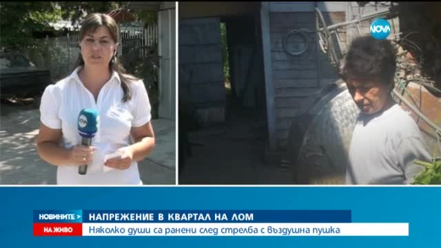 Няколко души са ранени след стрелба с въздушна пушка в Лом