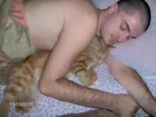 Бездомни Котенца