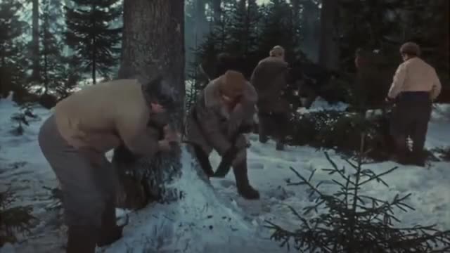 Кариерата на Дима Горин ( Карьера Димы Горина 1961 )