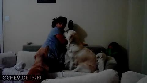 Куче защитава дете от майка му