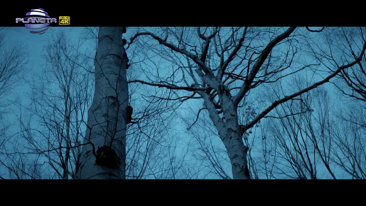 Кали - Докато спра да дишам 2016