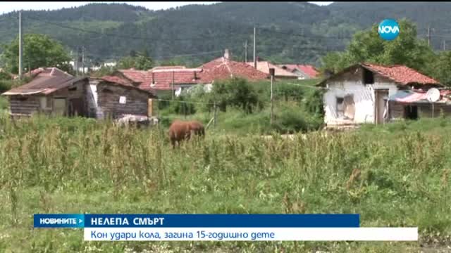 Кон удари кола, загина 15-годишно момче