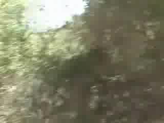 Oператор Заснема Случайно Странно Същество