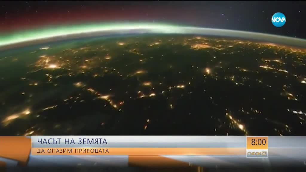 Часът на Земята: Да опазим природата
