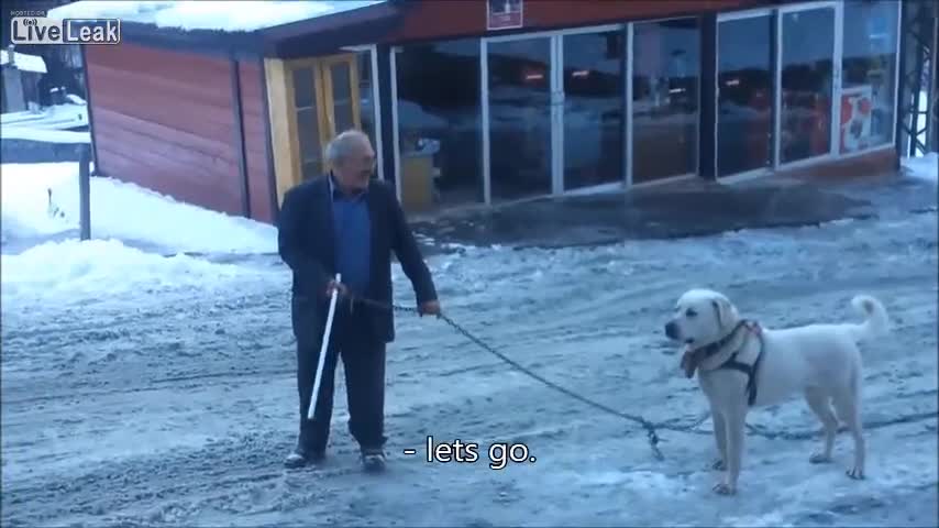 Куче Кангал напада човек