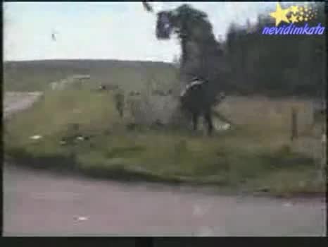 И Във Филм Трудно Ще Го Направят Това!!!