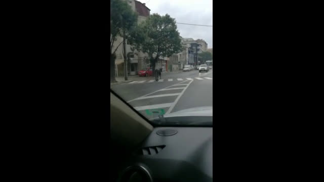 "Моята новина": Крава в центъра на Дупница