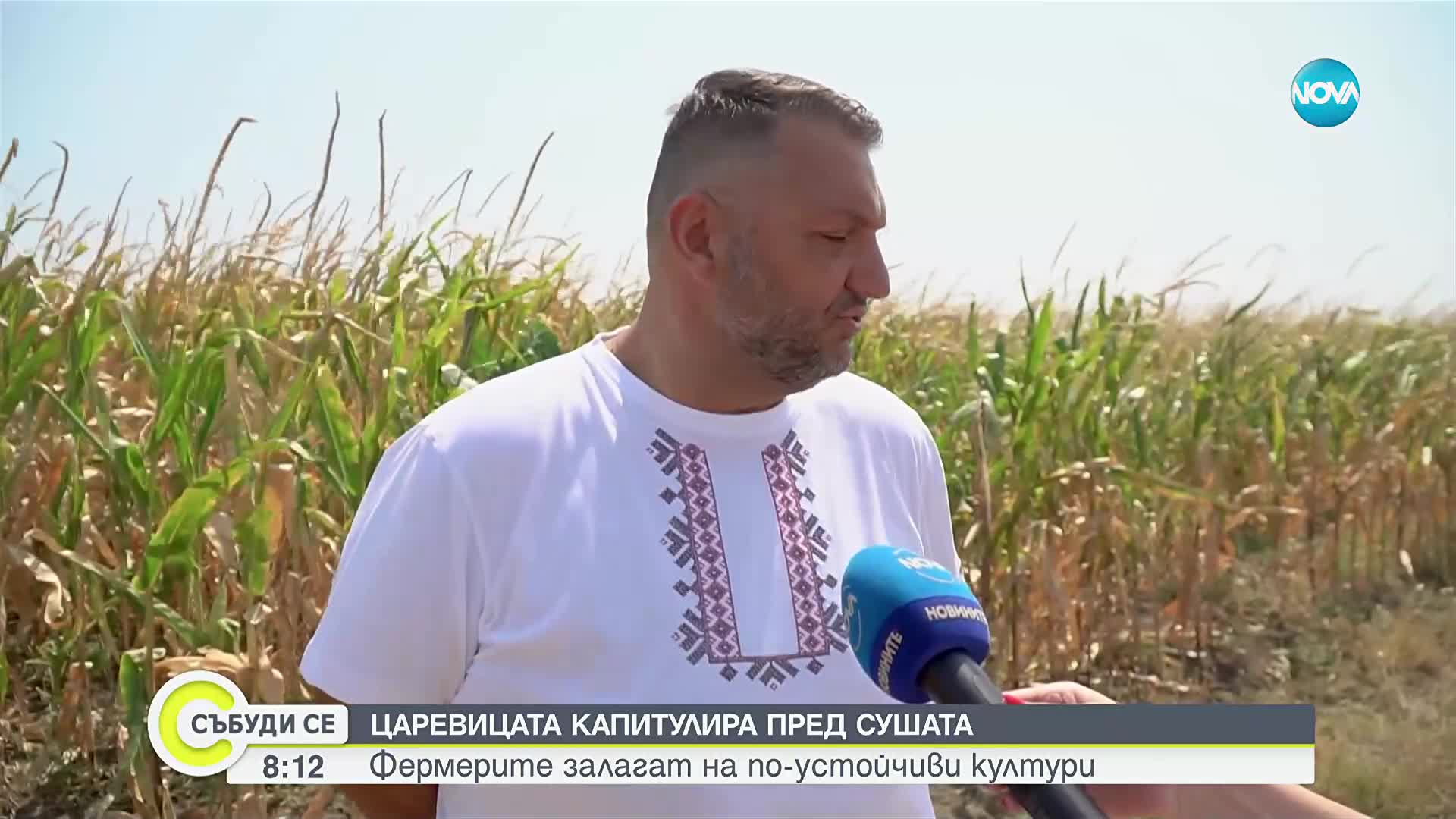Производители очакват провал на реколтата от царевица