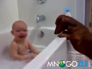 Дакелът дали има нерви ?!? 