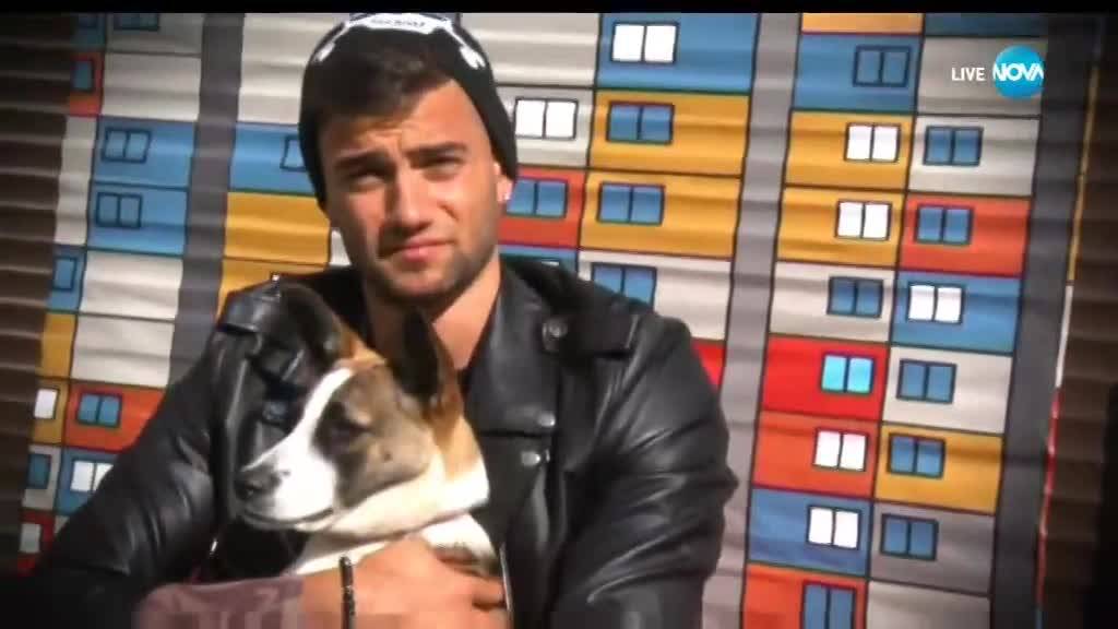 За бездомните кучета с любов: Вижте призива на Съквартирантите