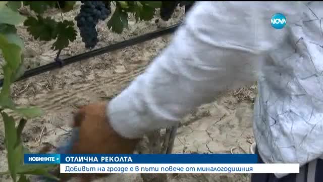 Новините на Нова (22.09.2015 - обедна)