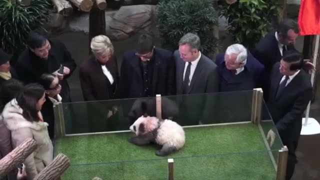 Брижит Макрон стана кръстница на бебе панда