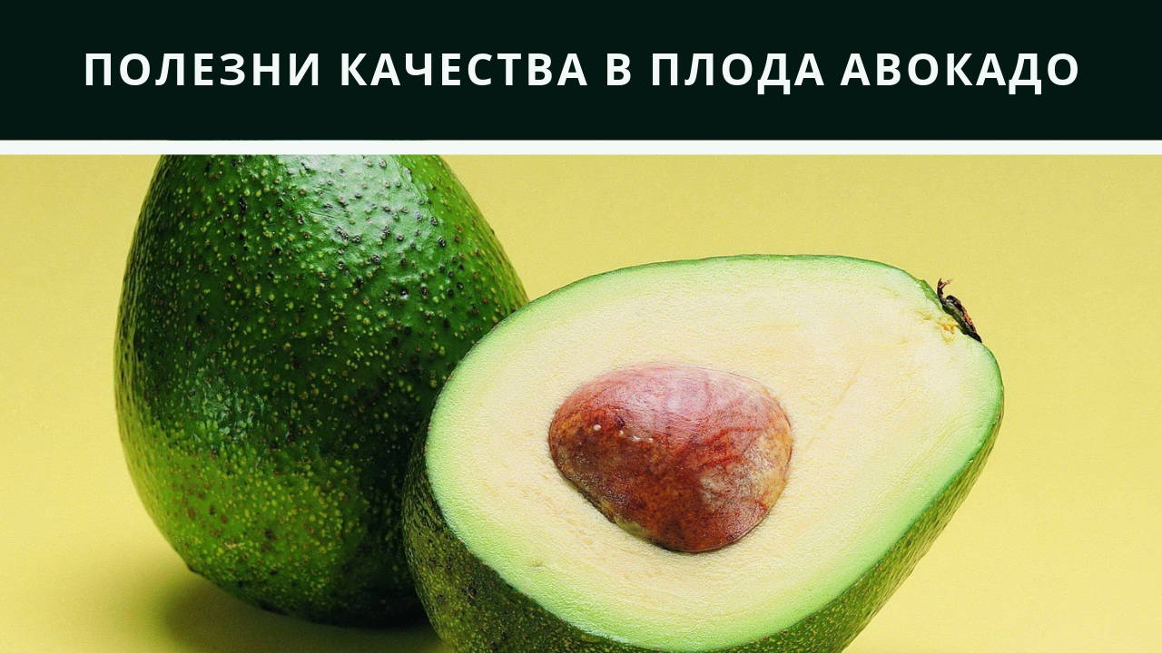 Полезни качества в плода авокадо