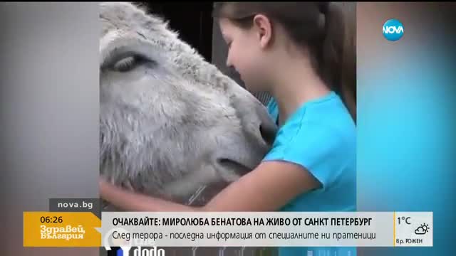Плачещо магаре, което има нужда от прегръдка