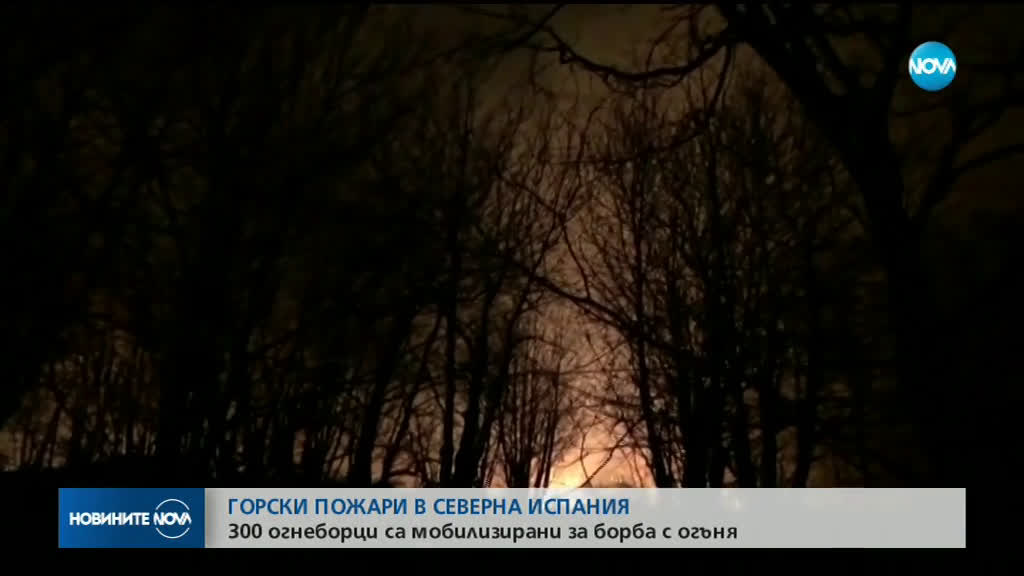 Силен вятър разпалва горски пожари в Испания (ВИДЕО)