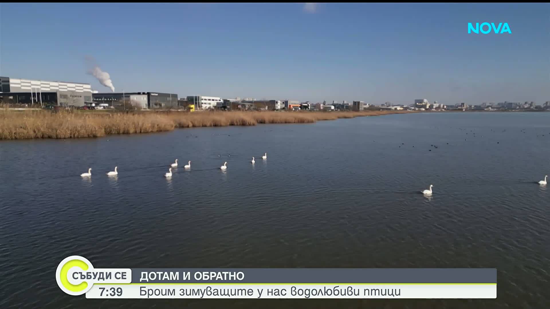 Зимно преброяване на птиците в района на Бургас
