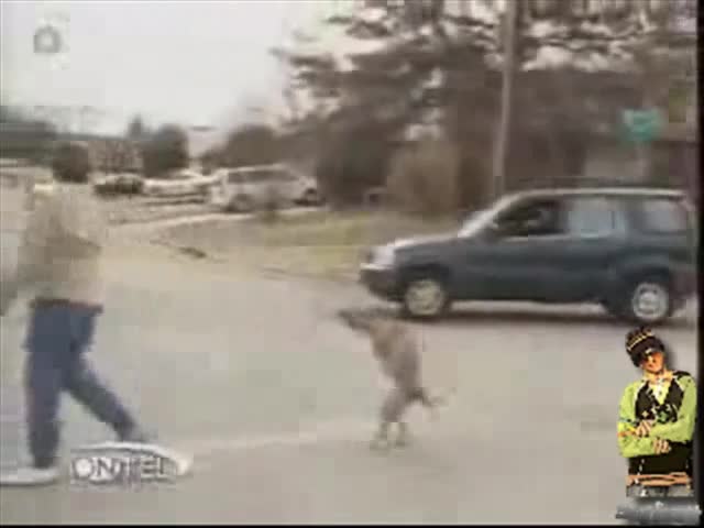 Ужасно Куче С 2 Крака