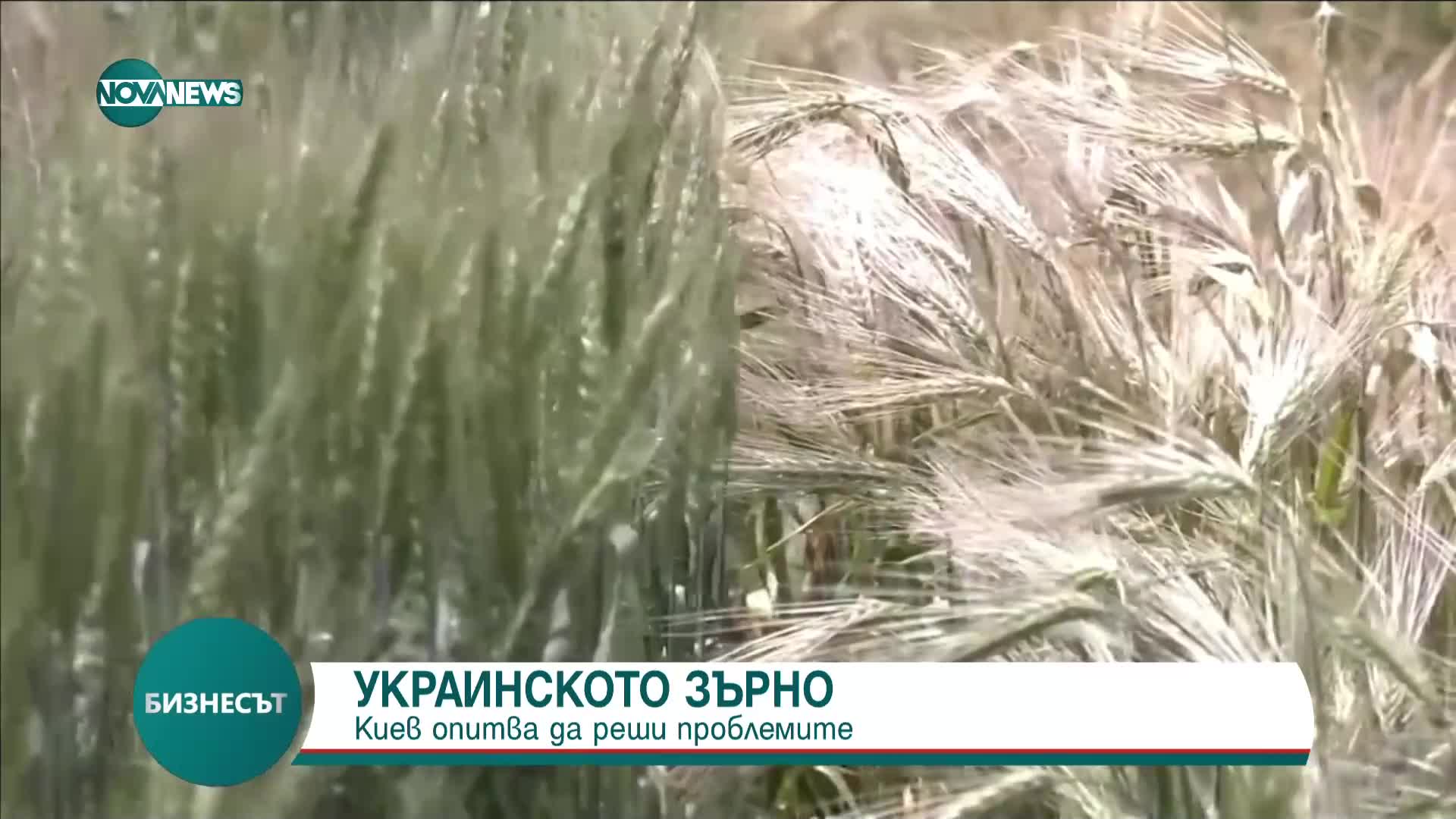 Полша забрани и транзита на украинско зърно