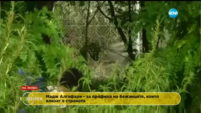Експериментът на Краси Боев: На разходка в арабския квартал в София