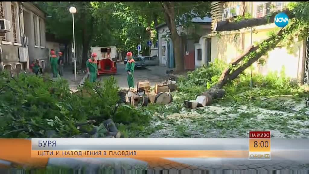 Какви са щетите след мощната буря в Пловдив?