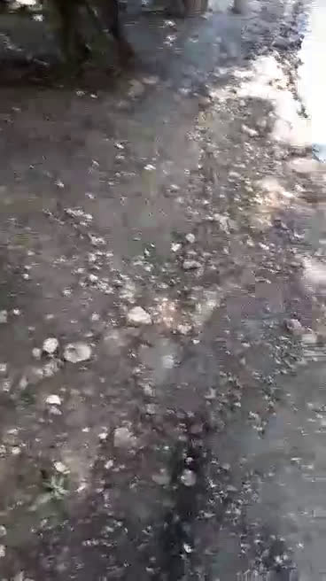 Истината за крайните квартали в Добрич
