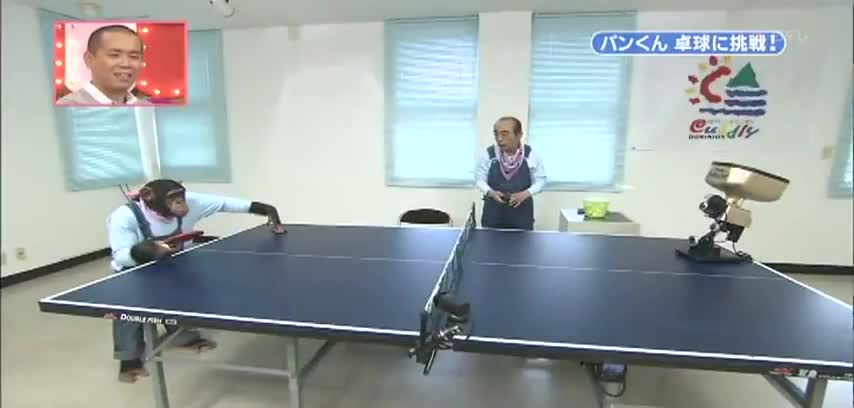 Тази маймуна ще ви накара да се усмихнете :)