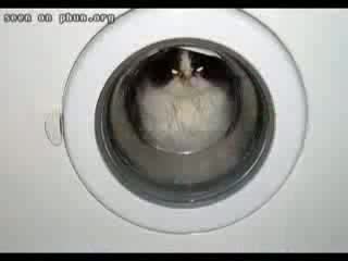 Смешни Снимки 