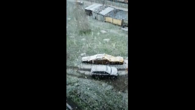 "Моята новина": Априлски сняг в Трявна