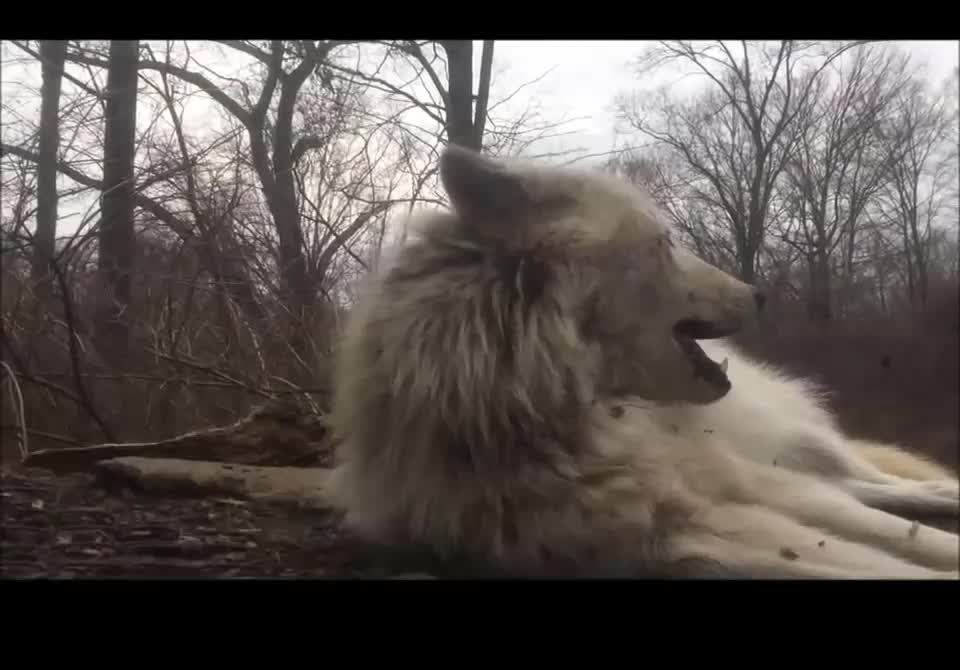 Така се чувствам всяка сутрин, когато трябва да ставам за работа