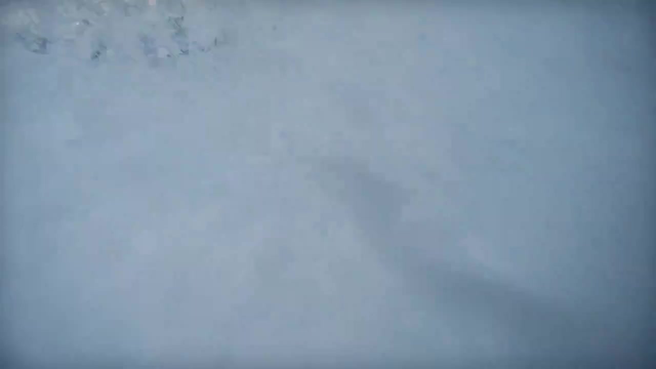 Адреналин и Красота в Едно - Usc Ski And Snowboard