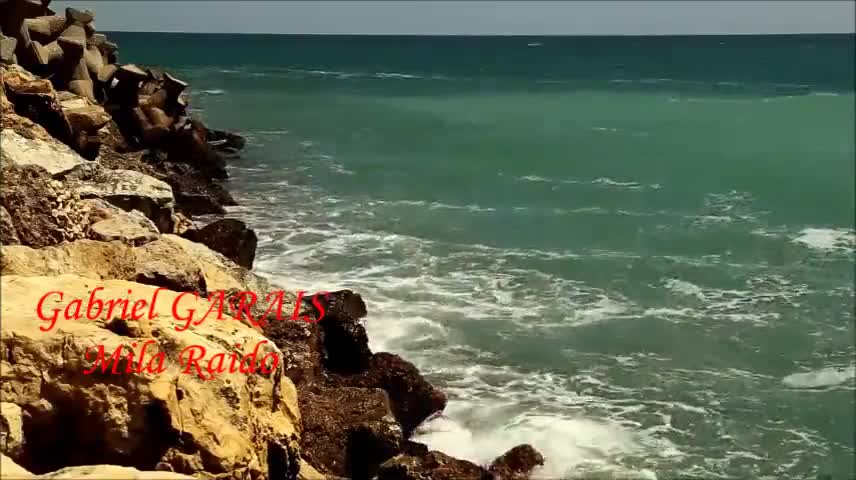 лето пляж девушки фото онлайн лето пляж девушки фото