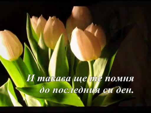 Мариана и Тодор Трайчеви - Искам да те нарисувам (Текст)