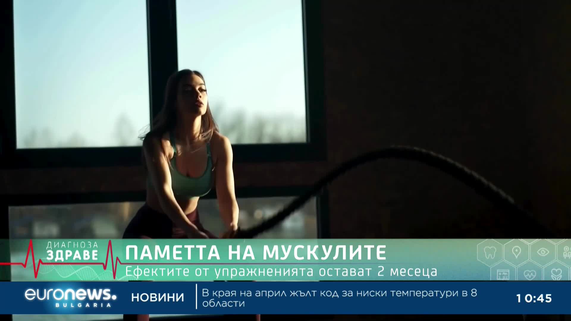Кой е най-добрият заместител на захарта и как да възстановим здравето на червата?