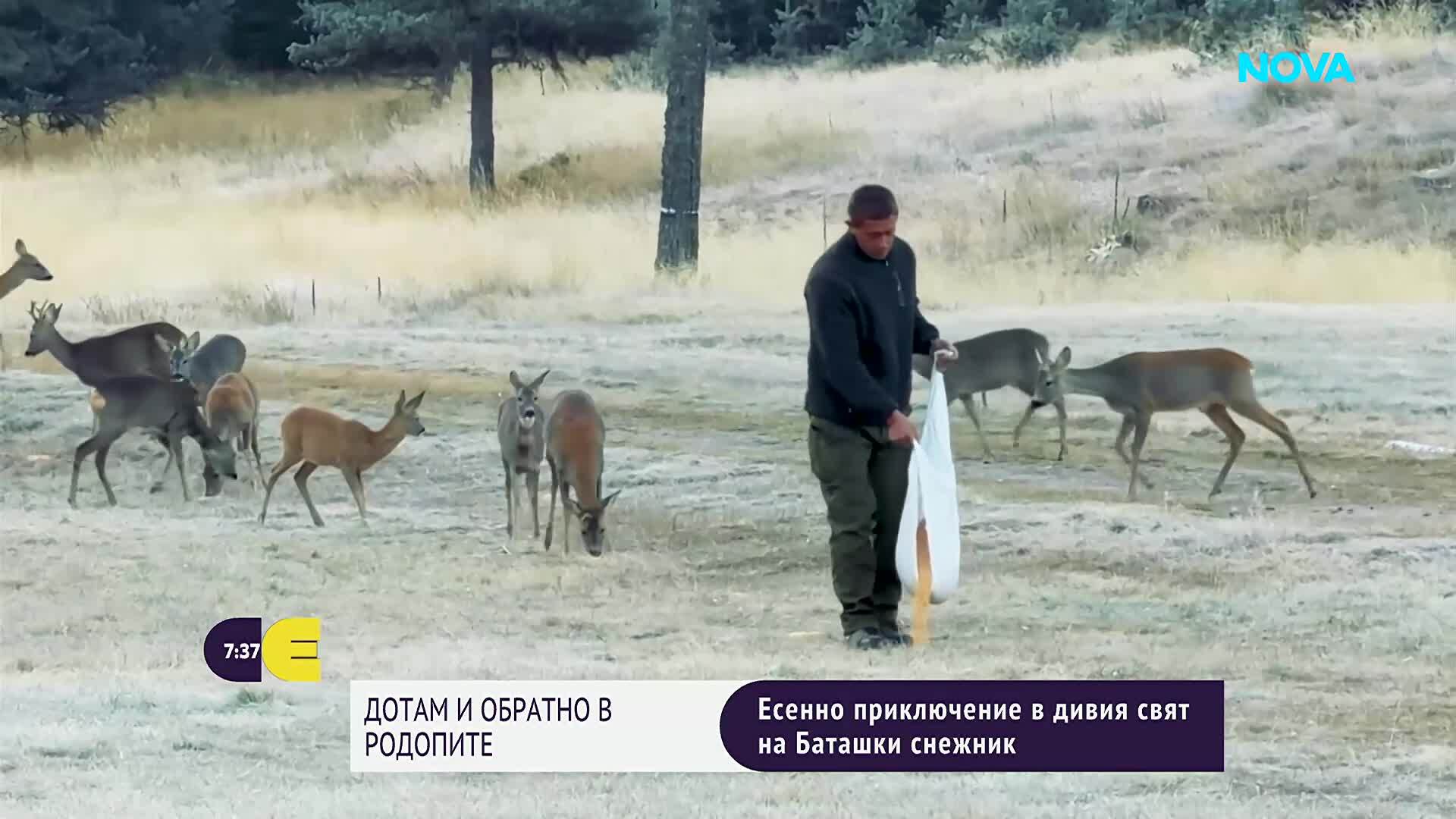 "Дотам и обратно": Есенно приключение в дивия свят на Баташки снежник в Родопите (ВИДЕО)