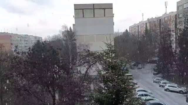 "Моята новина": Сняг