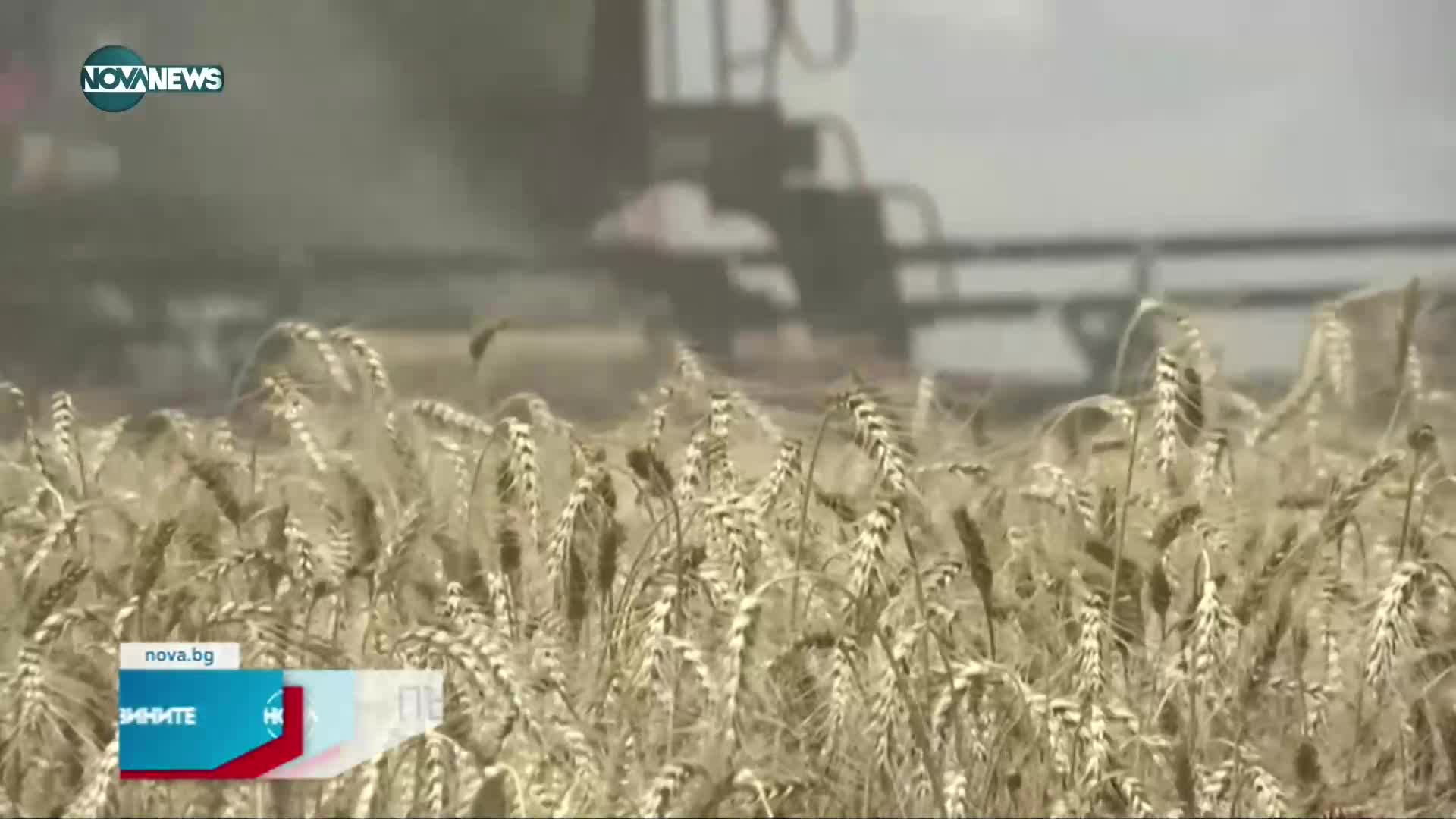 Новините на NOVA NEWS (31.07.2022 - 20:00)