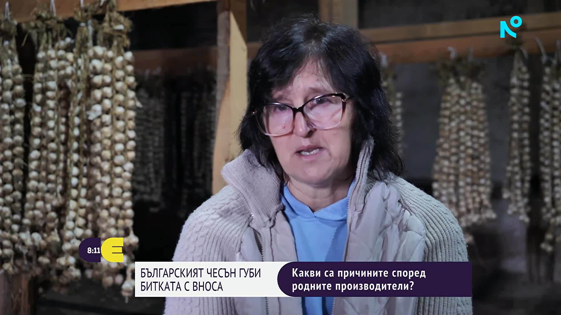 Качеството срещу цената: Битката за българския чесън