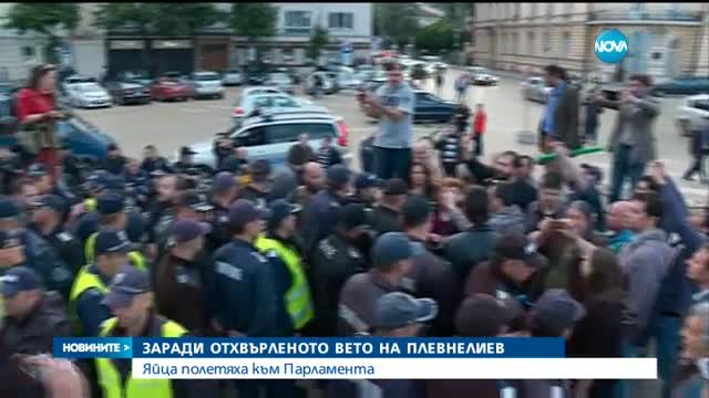 Яйца полетяха към парламента в знак на протест