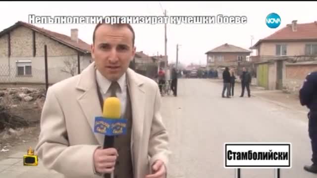 Непълнолетни организират кучешки боеве - Господари на ефира (02.03.2015г.)