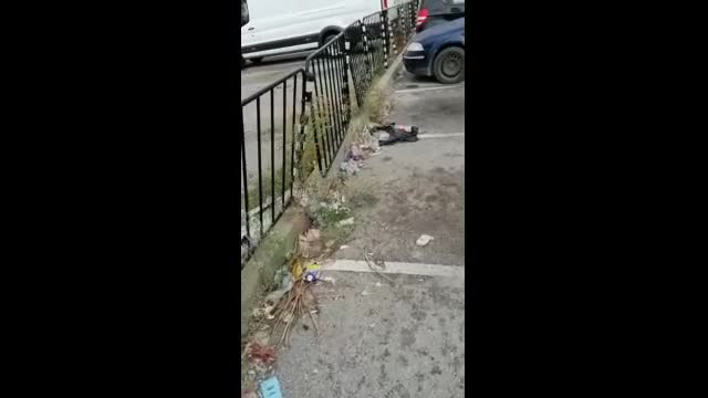 Видео - (2021-10-25 21:37:09)