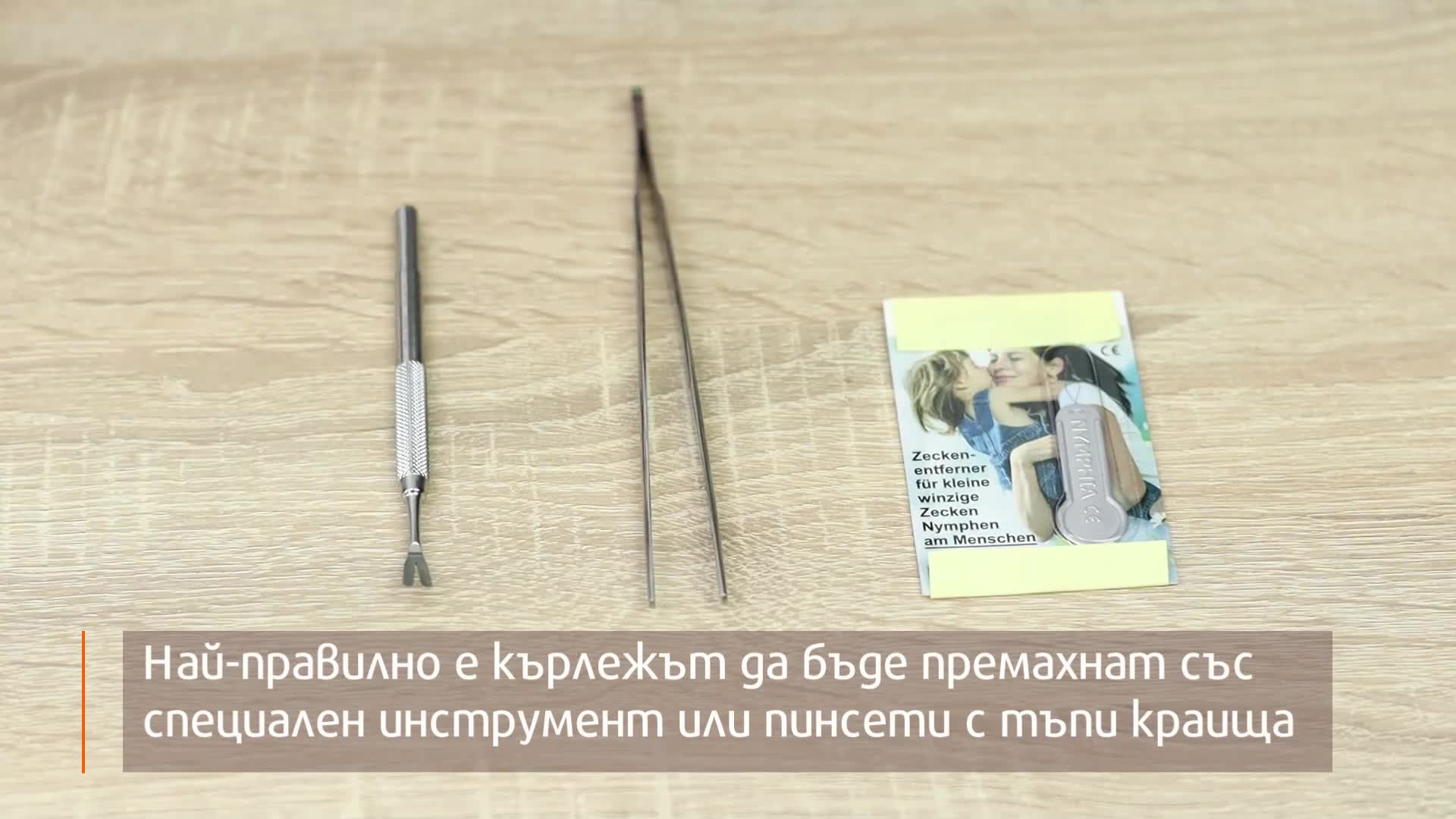 Как правилно да отстраним кърлеж