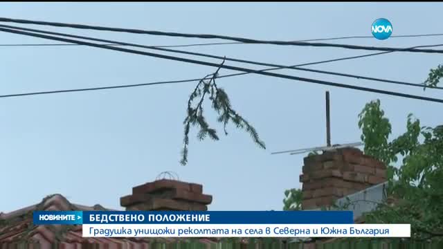 БЕДСТВЕНО ПОЛОЖЕНИЕ: Градушка унищожи реколтата на села в Северна и Южна България