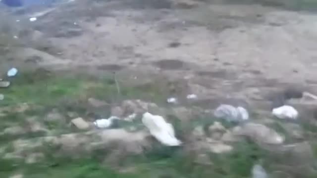 Незаконно сметище и ковчези