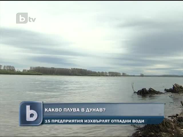 Какво плува в Дунав?