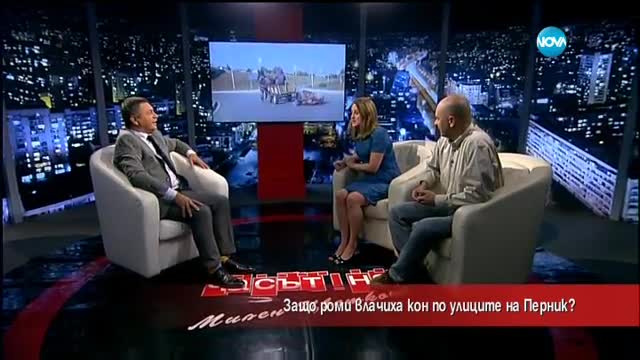 Защо роми влачиха кон по улиците на Перник?
