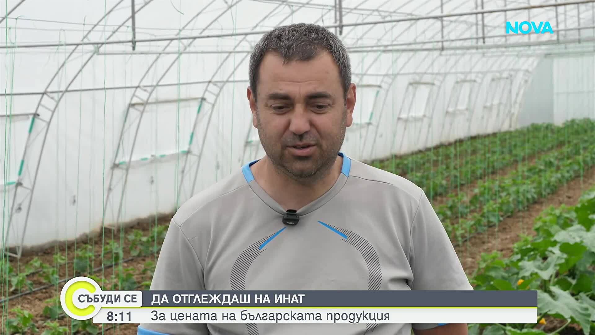 Кюстендил: От череши към оранжерии