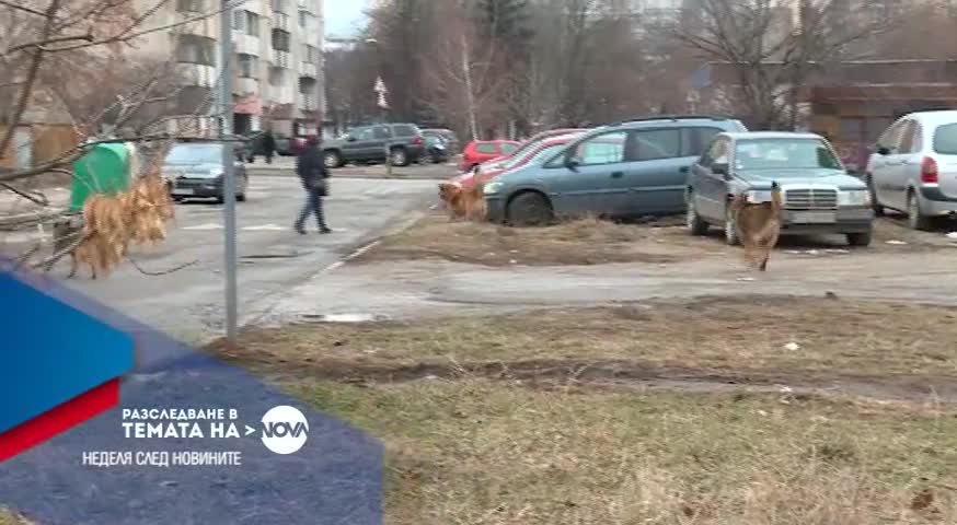 В Разследване в Темата на NOVA на 12 февруари очаквайте