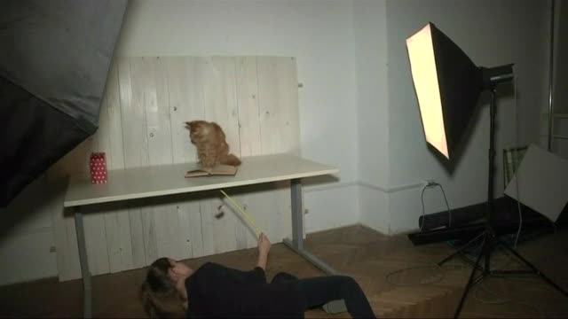 Откриха фотостудио за домашни любимци