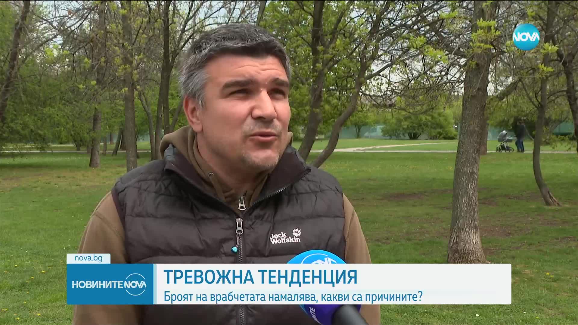 ТРЕВОЖНА ТЕНДЕНЦИЯ: Броят на врабчетата у нас намалява